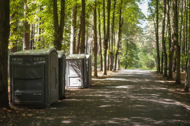 Best Standard Portable Toilet Rental in St Elmo, IL