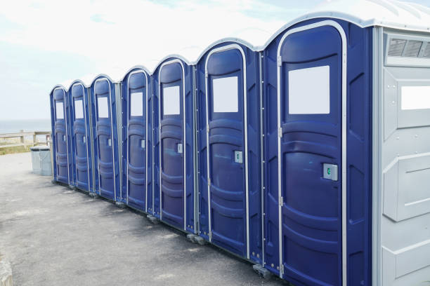 Best Portable Toilets with Baby Changing Stations in St Elmo, IL